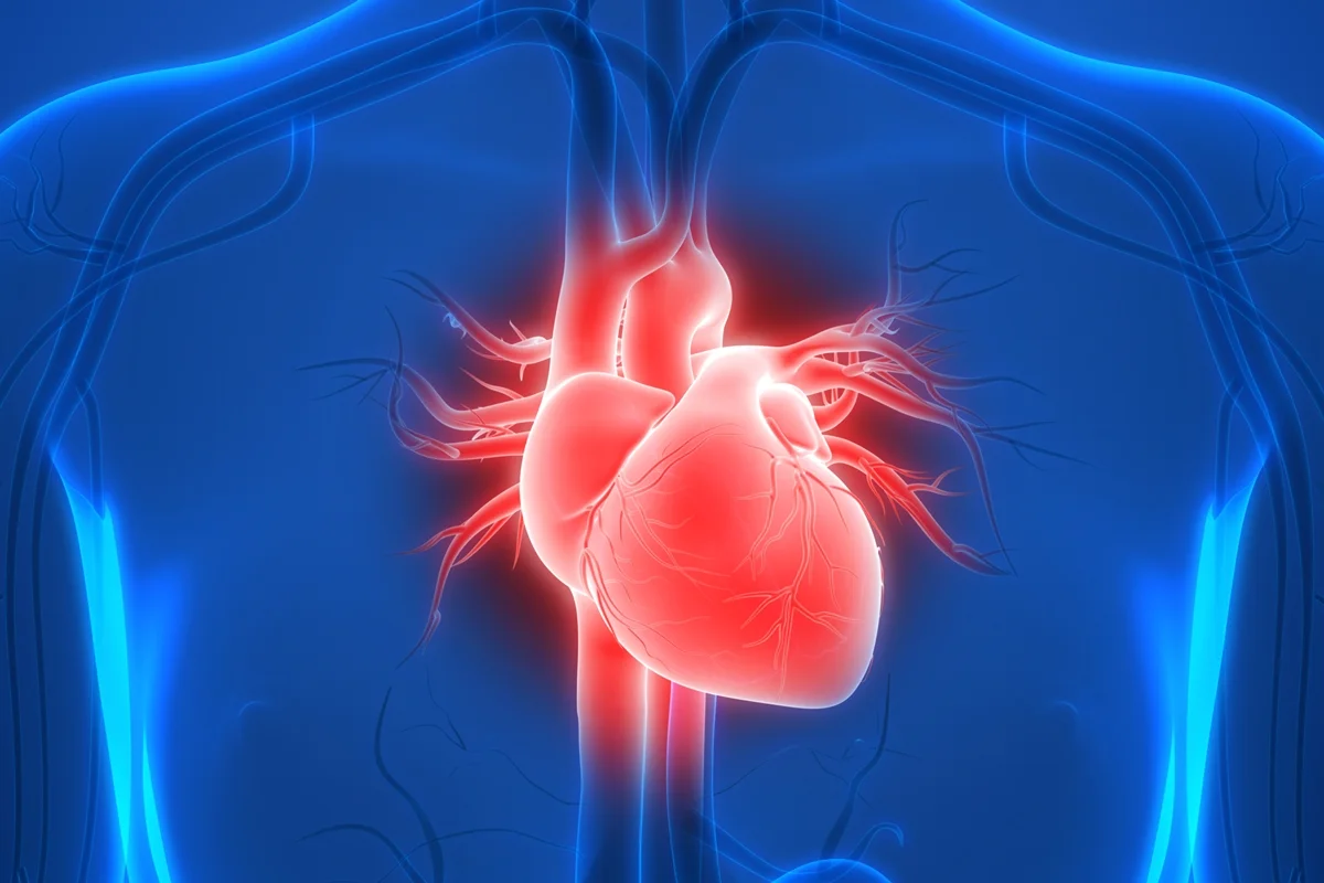 Mulheres em áreas vulneráveis apresentam maior risco cardiovascular