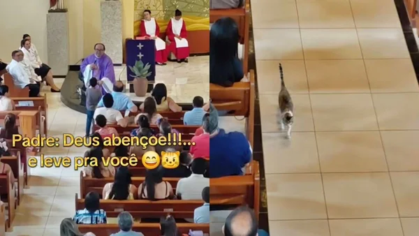 Criança pede bênção para gato em missa e padre atende ao pedido