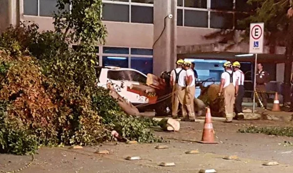 Chuva forte. Árvores caem em cima de carros e em vias do DF