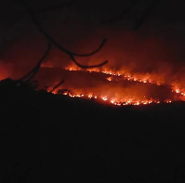 Incêndio Chapada Veadeiros