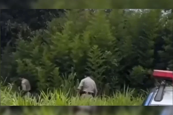 Corpo de jovem é encontrado sem roupas e com orelhas cortadas em GO