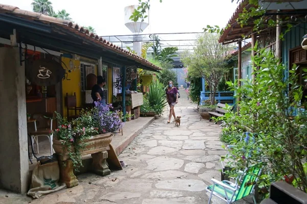 Três lojas de plantas no DF que oferecem experiências além das compras