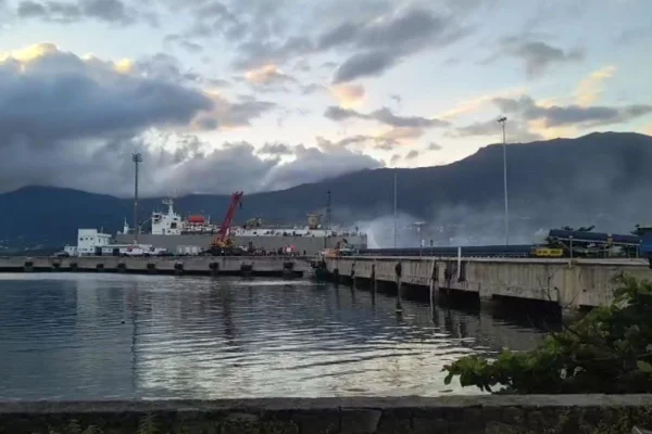 Fogo começou no compartimento onde estavam armazenados feno e ração dos animais. O navio de transporte de gado tinha como destino a Turquia - Metrópoles