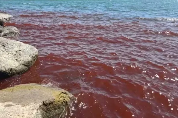 fenômeno incomum fez com que a paisagem do Mar da Galileia ficasse vermelho