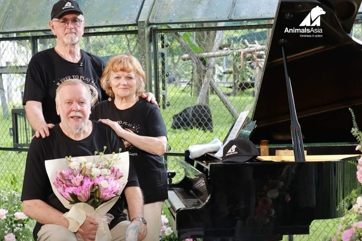 Robinson disse que "algo notável aconteceu" durante o concerto Robinson disse que "algo notável aconteceu" durante o concerto