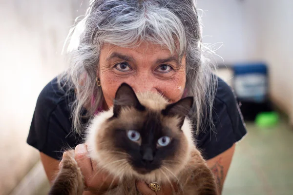 Imagem colorida de mulher segurando gato siamês