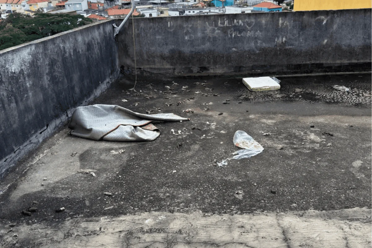 Cão apresentava comportamento reativo e sinais de medo Cão apresentava comportamento reativo e sinais de medo