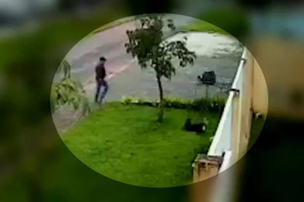 Imagem mostra momento em que homem atinge cachorro com um pedaço de madeira e o animal desmaia - Metrópoles