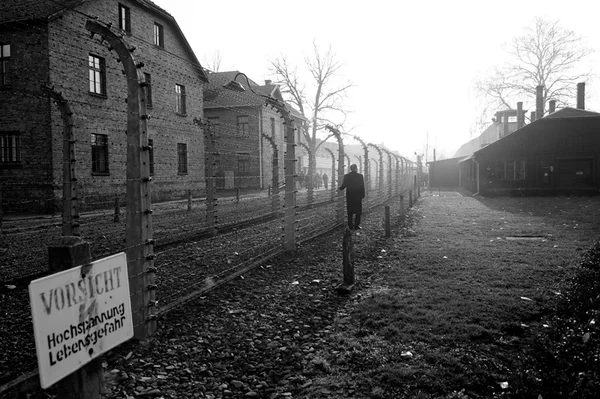 Comunidade judaica em São Paulo realiza eventos em memória às vítimas do holocausto