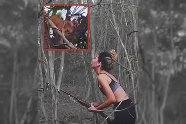 Mulher caça ilegalmente onça no Piauí e mata animal; Ibama multa responsáveis