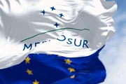 Governo prevê reverter parte do veto da UE à carne brasileira - imagem 3 Governo prevê reverter parte do veto da UE à carne brasileira - imagem 3