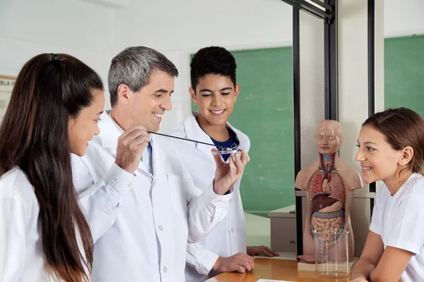 Universidade paraense terá o 1º mestrado sobre diabetes do Brasil
