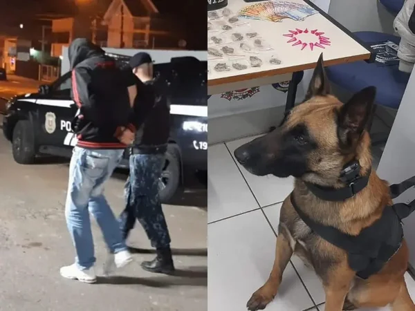 Cão de faro, “Titan” entrega traficante que escondeu droga em banheiro