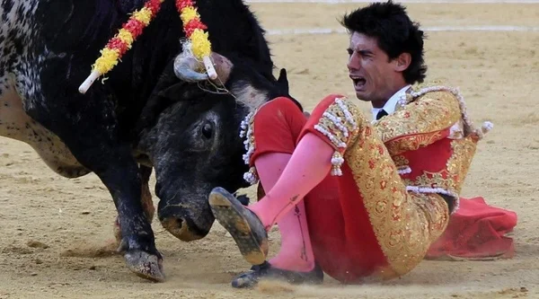 Vídeo. Toureiro morre durante tourada transmitida ao vivo, na Espanha