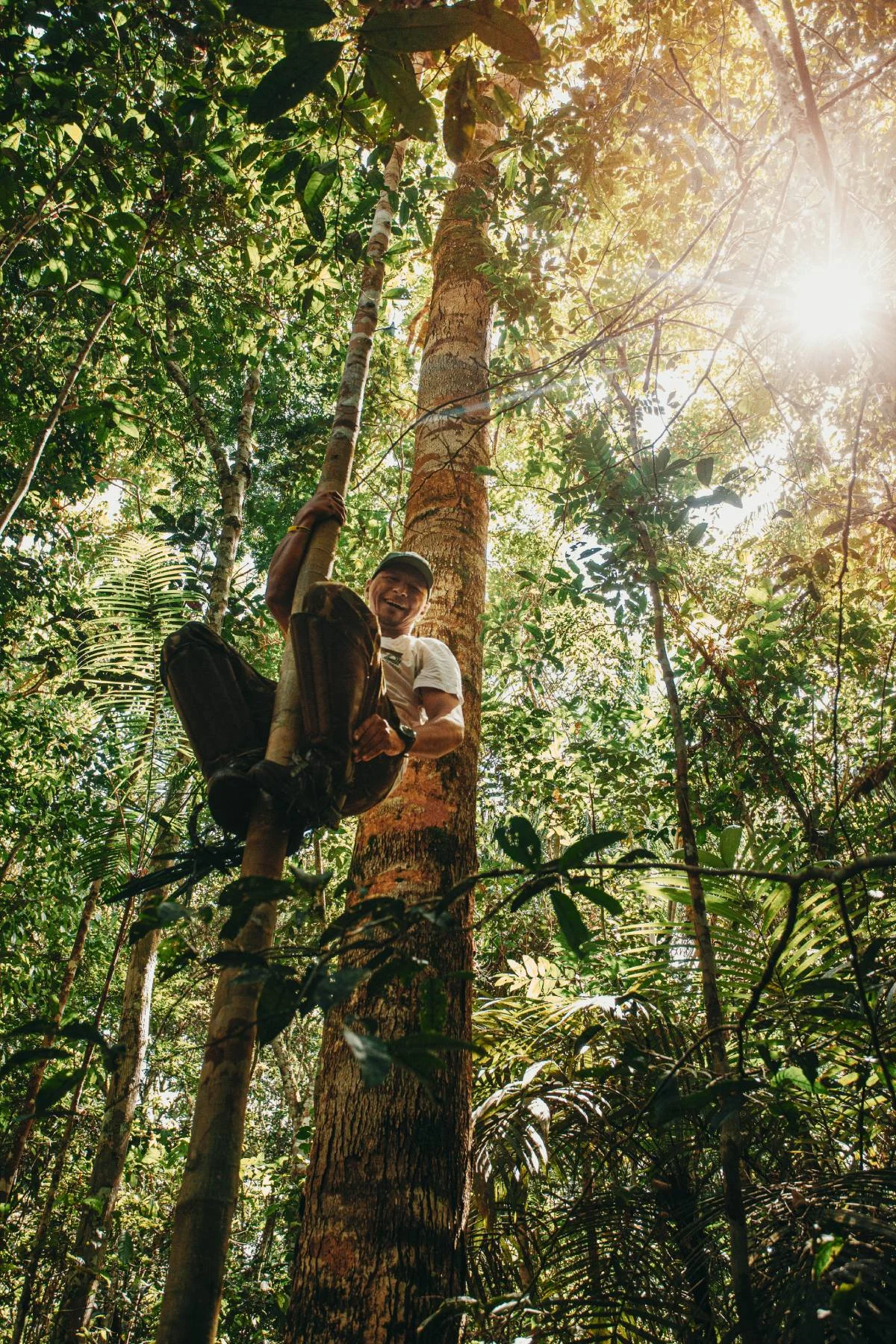Turismo de natureza permite conhecer detalhes da floresta amazônica Turismo de natureza permite conhecer detalhes da floresta amazônica