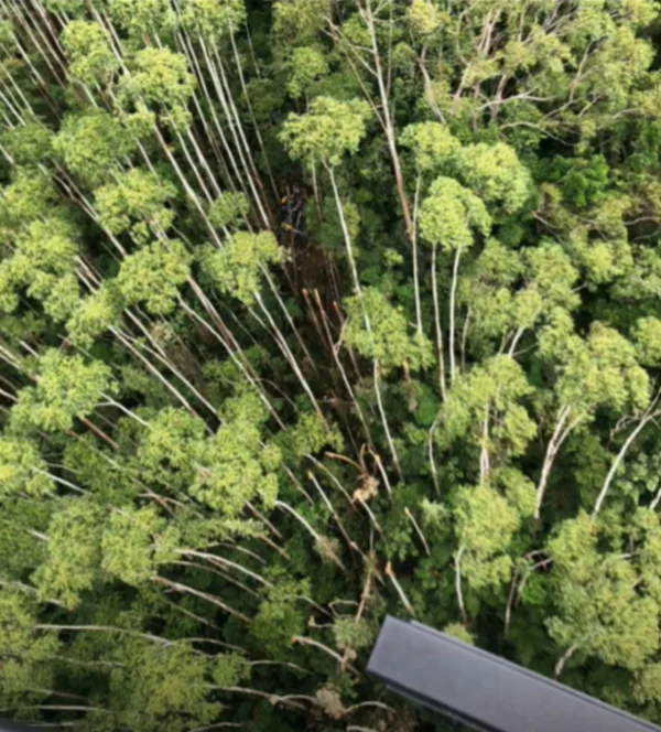Aeronave caída na região de Paraibuna