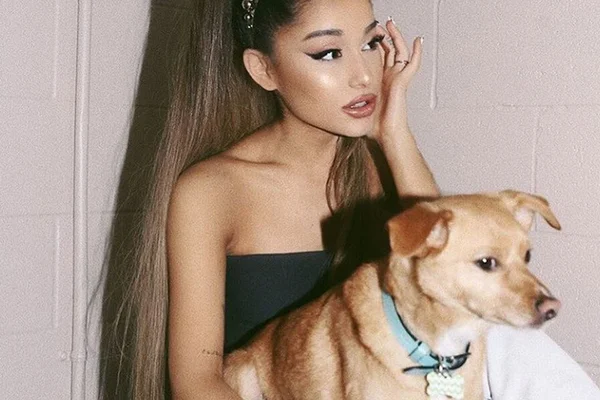 Ostentação: Ariana Grande aluga jatinho exclusivo para seus pets