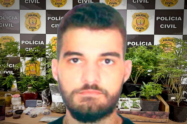 Quem é o “advogado da erva” que cultivava e vendia maconha nas redes