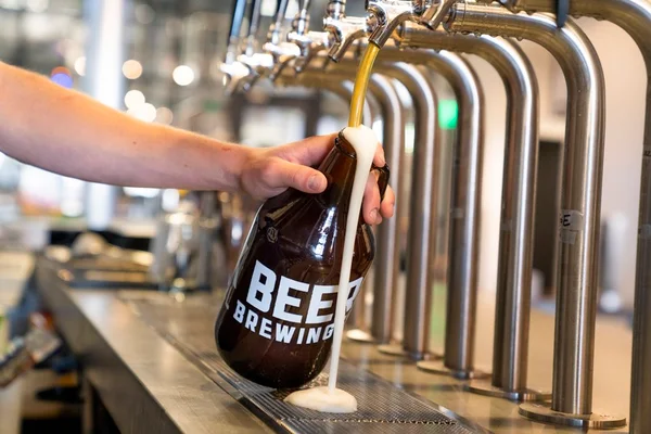 Lotes que continham cervejas contaminadas têm 66 mil garrafas