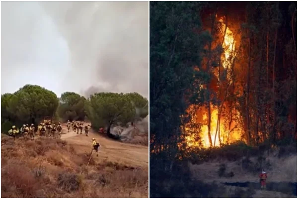 Incêndio em região de floresta na Espanha - Metrópoles