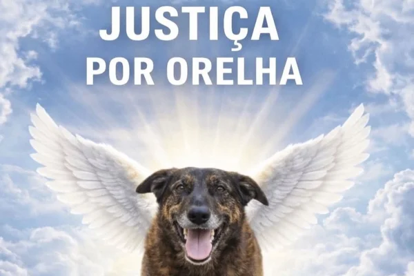 Orelha é homenageada nas redes sociais após ato de crueldade