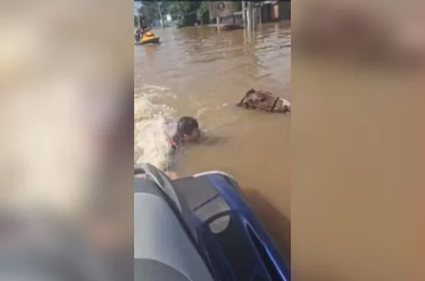 imagem colorida vice-prefeito resgata cavalo rs
