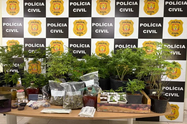 “Advogado da erva” é preso novamente por vender drogas pelo Instagram