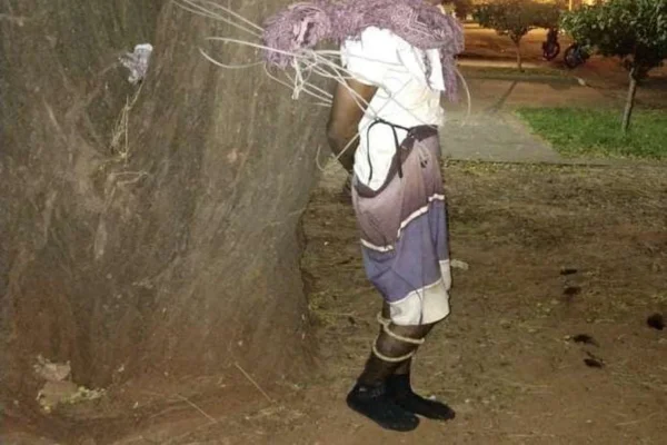 homem fica preso em árvore