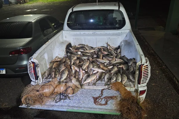 Polícia Ambiental apreende mais de 100 kg de peixes durante a Operação Piracema - Metrópoles