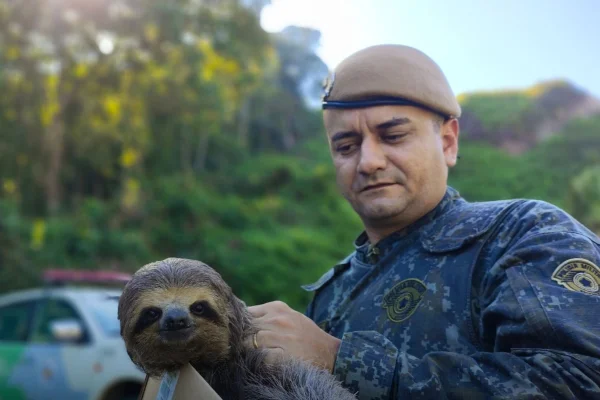 Imagem mostra homem com bicho-preguiça - Metrópoles