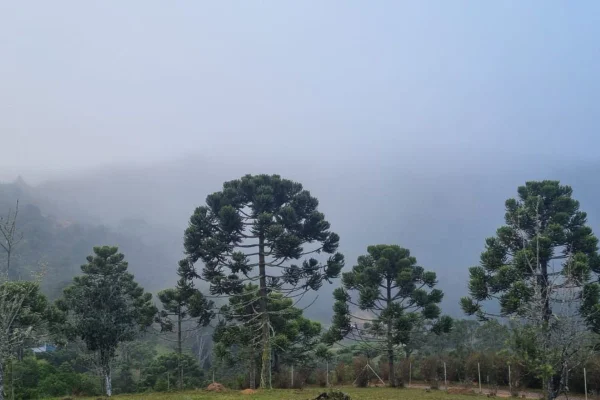 Sorocaba, no interior de São Paulo, também teve recorde de frio. Capital paulista deve ter tardes mais geladas do ano nesta semana - Metrópoles