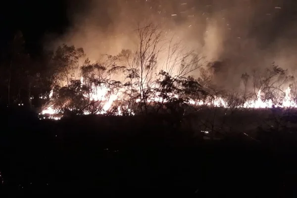 queimada