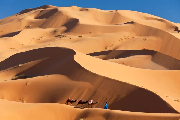 Deserto do Saara