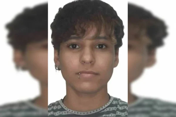 VERSÃO DE WARLEY FERREIRA MARTINS - TESTEMUNHA, Também ouvido sobre os fatos em apuração, WARLEY FERREIRA MARTINS , igualmente compromissado na forma da lei, respondeu QUE: na data de hoje, 23/08/2025, por volta das 22h30, estava dentro de sua casa acompanhado de sua esposa FLAVIANA PEREIRA MENDES, quando escutou um barulho muito grande na casa vizinha. Que ao saírem de casa, viu o portão de passagem de carros da entrada da chácara onde reside PÂMELLA MARIA ROCHA RANGEL ao chão. Que ouviu gritos de PÂMELLA pedindo socorro para a mãe dela, dizendo: "socorro mãe". Que logo sem seguida viu um homem pardo, aproximadamente, atura mediana, sem camisa, saindo da casa com o celular na mão, dizendo; "me perdoa, me perdoa pelo que ei fiz". Que em seguida o homem saiu sentido Setor Norte de Brazlândia, pela lateral do cemitério. Que foi até a casa de PÂMELLA e deparou-se com ela em cima da cama com sangramento no peito. Que sal esposa solicitou a polícia militar e corpo de Bombeiros Militar por volta das 22h42min. Que não conhecia o autor, não tinha convivência com ele, consegue reconhece-lo por fotos ou pessoalmente caso volte a vê-lo.