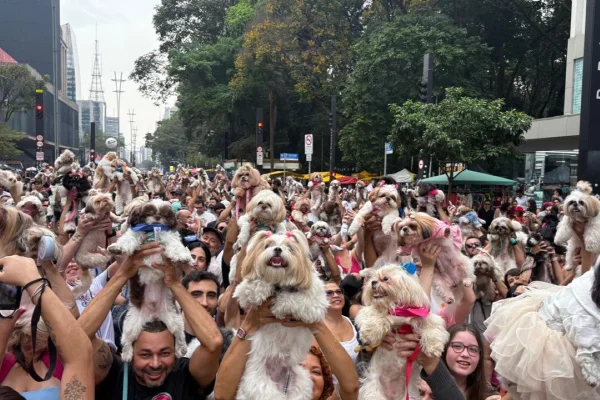 Imagem colorida de tutores segurando shihtzus em encontro na Avenida Paulista. Metrópoles