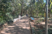 O Parque Linear Tiquatira é considerado o primeiro parque linear da cidade de São Paulo