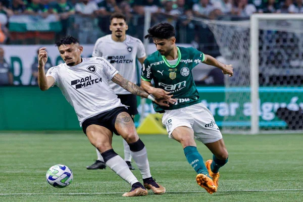 Botafogo x Palmeiras vai pegar fogo no Brasileirão 2024-APOSTAS