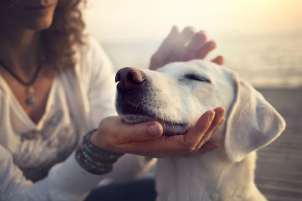 Não, “mãe de pet” não é igual a mãe de gente