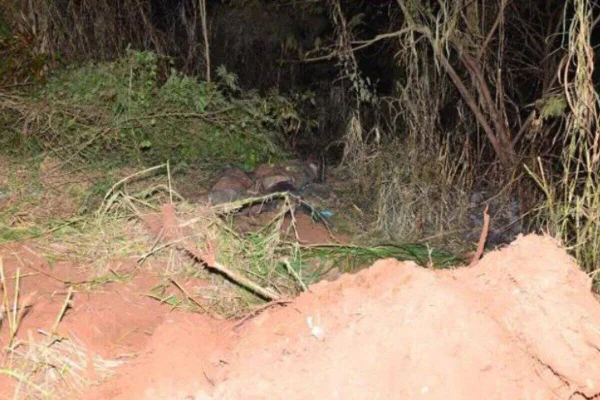 Imagem de terreno com terra revirada - Metrópoles