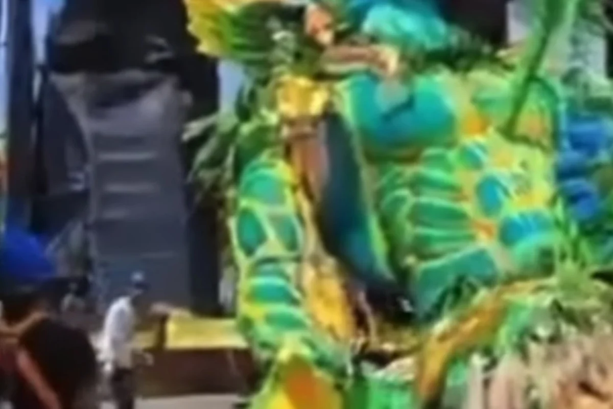 Alegoria do Boi Caprichoso desaba durante translado em Paritins Alegoria do Boi Caprichoso desaba durante translado em Paritins