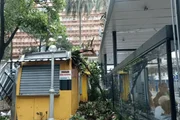 Temporal estaria relacionado com entrada de frente fria na cidade. A forte chuva resultou em quedas de árvores e destelhamentos Temporal estaria relacionado com entrada de frente fria na cidade. A forte chuva resultou em quedas de árvores e destelhamentos