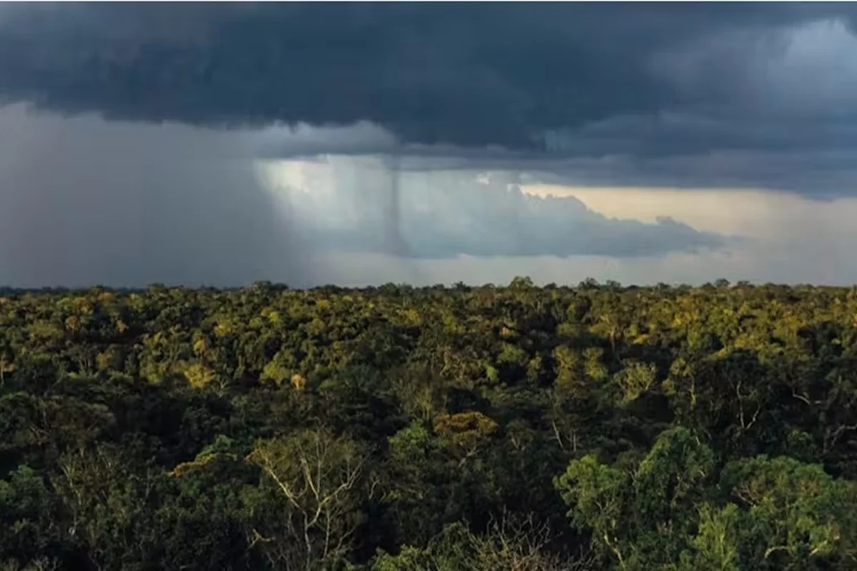 Colapso das Chuvas na Amazônia? Estudos Revelam Limite Crítico de Desmatamento Antes de Impacto no Clima e Agronegócio Brasileiro, Alerta IPCC