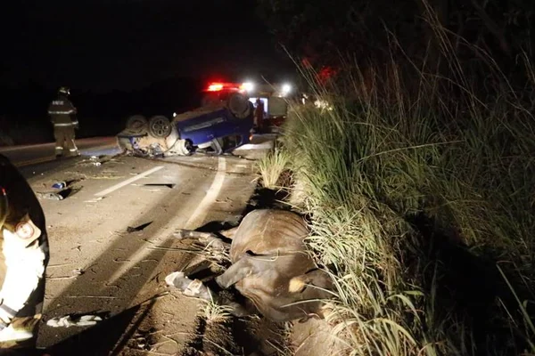 Motorista fica ferido após atropelar e matar uma vaca no DF