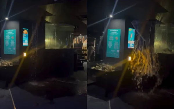 imagem colorida vazamento aquario