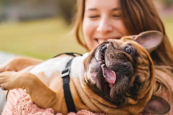 adolescência dos cães