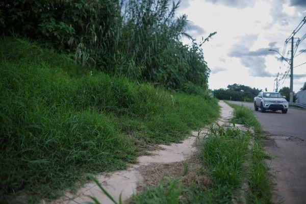 Com mato alto na vizinhança, cobras invadem casas em área nobre do DF