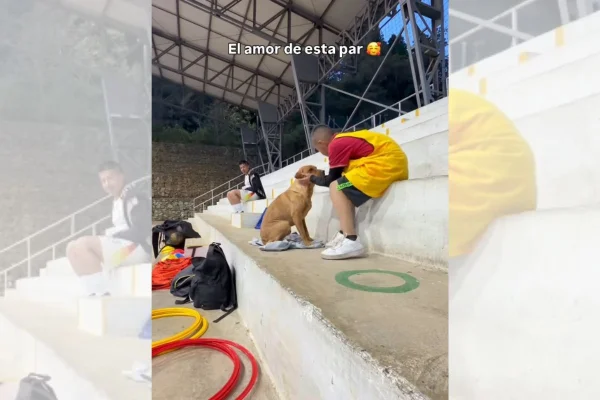 Menino e cachorro em treino de futebol