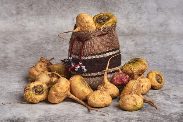 Raiz de um tuberculo Maca peruana - Metrópoles