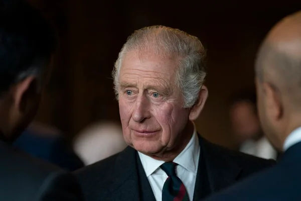 Livro de Harry pode causar danos para o rei Charles, avalia expert