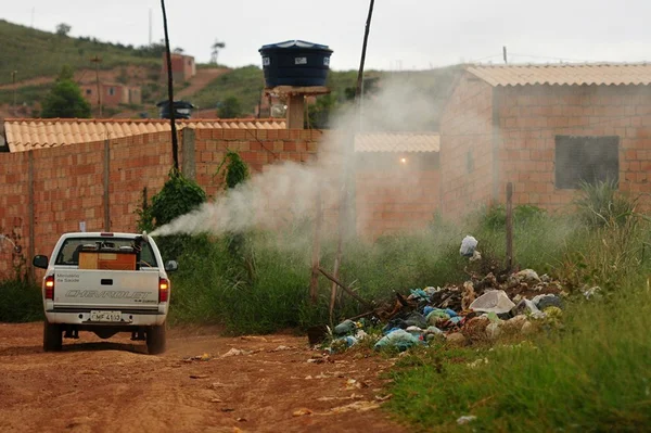 Dengue no DF: veja rota do fumacê nesta terça-feira (5/3)